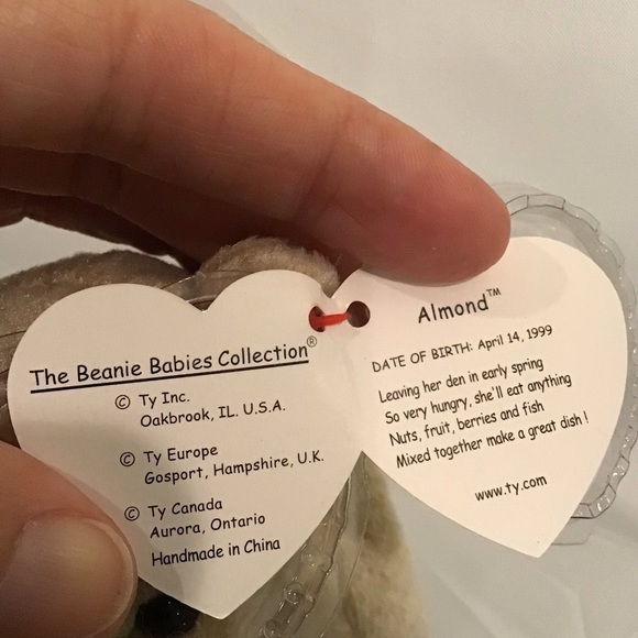 Ty Beanie Babies Almond and Pecan (2) Bears NWT - Picture 8 of 9